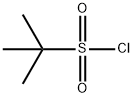 2-Methyl-2-propanesulfonyl chloride