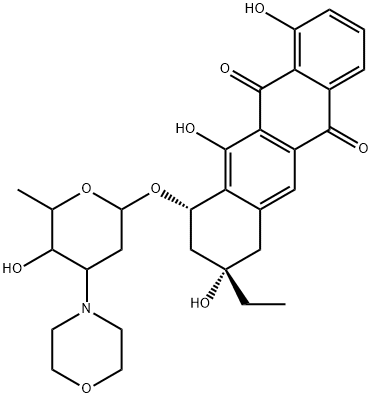 morpholinoanthracycline MY5