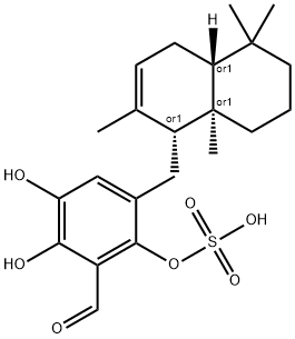Siphonodictyal C