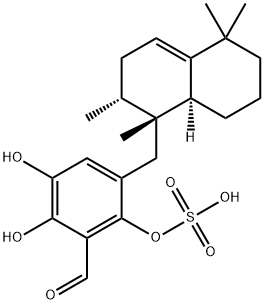 Siphonodictyal D
