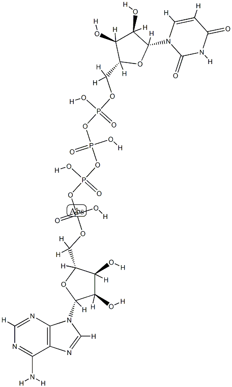adenosine(5')tetraphosphate uridine