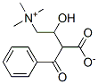 benzoylcarnitine