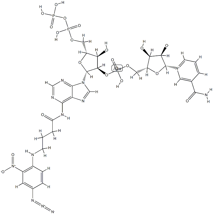 N-4-azido-2-nitrophenyl aminobutyryl NADP