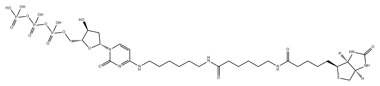 biotin-14-dCTP