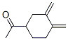 Ethanone, 1-[3,4-bis(methylene)cyclohexyl]- (9CI)
