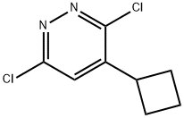3,6-dichloro-4-cyclobutylpyridazine