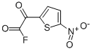 2-Thiopheneacetyl fluoride, 5-nitro-alpha-oxo- (9CI)