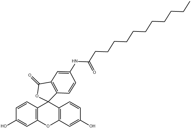 5-十二烷酰氨基荧光素