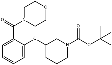 3-[2-(4-吗啉基羰基)苯氧基]-1-哌啶甲酸叔丁酯