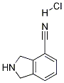异吲哚啉-4-甲腈盐酸盐