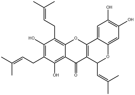 ARTOHETEROPHYLLIN B
