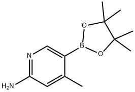 4-甲基-5-(4,4,5,5-四甲基-1,3,2-二氧杂环戊硼烷-2-基)吡啶-2-胺