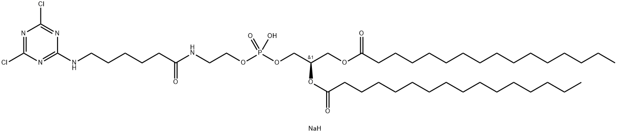 1,2-DIPALMITOYL-SN-GLYCERO-3-PHOSPHOETHANOLAMINE-N-{6-[(CYANUR)AMINO]HEXANOYL} (SODIUM SALT);16:0 CYANUR CAP PE