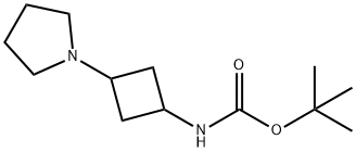 tert-butyl 3-(pyrrolidin-1-yl)cyclobutylcarbaMate