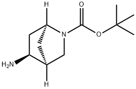 (1S,4S,5S)-5-氨基-2-氮杂双环[2.2.1]庚烷-2-羧酸叔丁酯