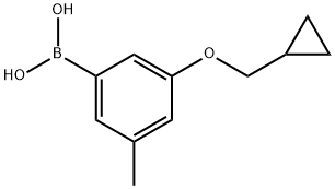 3-(环丙基甲氧基)-5-甲基苯硼酸