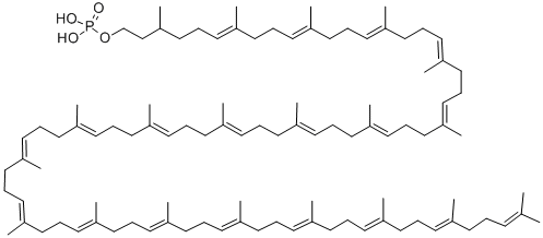 dolichol monophosphate