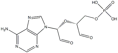 adenosine 5'-monophosphate 2',3'-dialdehyde