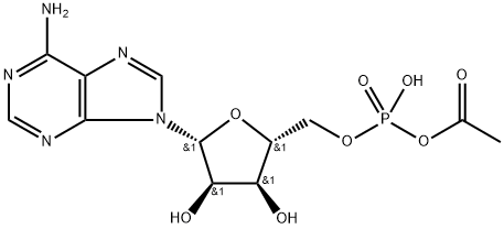 acetyl adenylate
