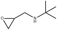 2-甲基-N-(环氧乙烷-2-基甲基)丙-2-胺