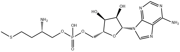 methioninyl adenylate