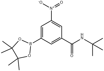BenzaMide, N-(1,1-diMethylethyl)-3-nitro-5-(4,4,5,5-tetraMethyl-1,3,2-dioxaborolan-2-yl)-
