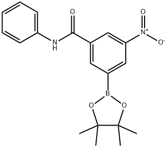 BenzaMide, N-[3-nitro-5-(4,4,5,5-tetraMethyl-1,3,2-dioxaborolan-2-yl)phenyl]-
