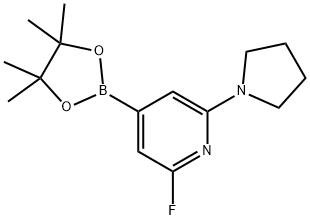 2-氟-6-(吡咯烷-1-基)-4-(4,4,5,5-四甲基-1,3,2-二噁硼烷-2-基)吡啶