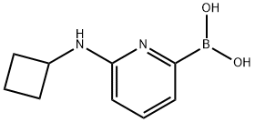 6-(CYCLOBUTYLAMINO)PYRIDINE-2-BORONIC ACID