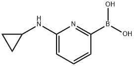 6-(CYCLOPROPYLAMINO)PYRIDINE-2-BORONIC ACID