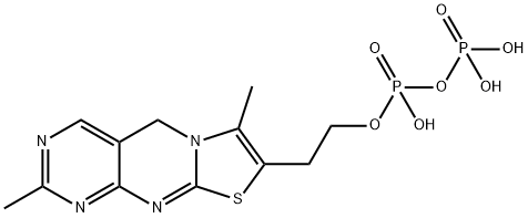 thiochrome diphosphate