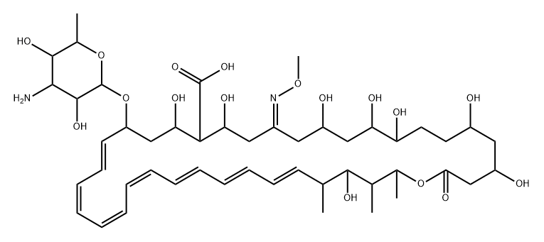 amphotericin B O-methyloxime