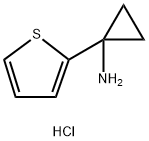 [1-(2-噻吩)环丙基]胺盐酸盐