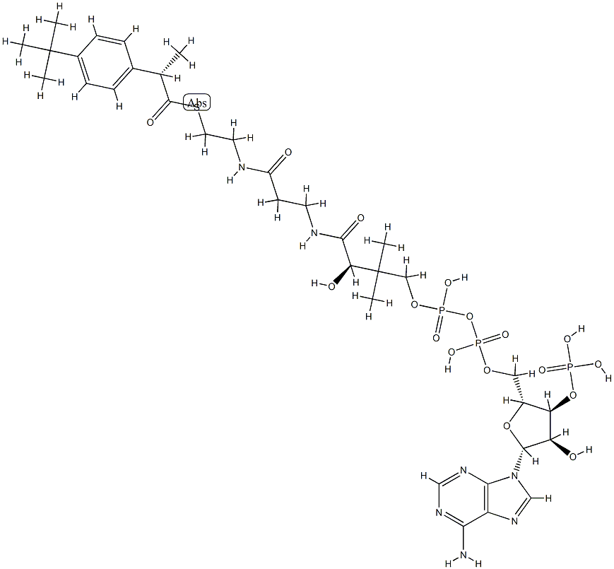 ibuprofenyl-coenzyme A