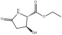 Proline, 3-hydroxy-5-oxo-, ethyl ester, trans- (8CI,9CI)