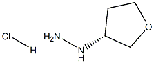 (3R)-(四氢-呋喃-3-基)-肼盐酸盐