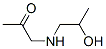2-Propanone, 1-[(2-hydroxypropyl)amino]- (9CI)