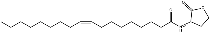 N-cis-octadec-9Z-enoyl-L-Homoserine lactone    Exclusive