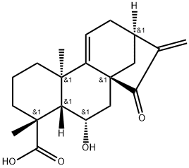 Pterisolic acid B