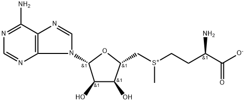 (±)-(5'-Adenosyl)[(R)-3-amino-3-carboxylatopropyl](methyl)sulfonium