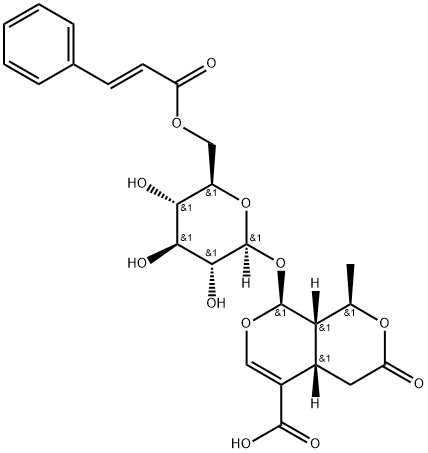 6'-O-反式-肉桂酰 8-表金吉苷酸