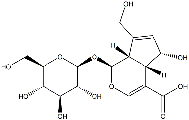 去乙酰基车叶草苷酸