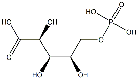 ANADOL
