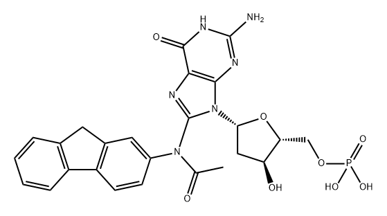 8-(N-fluoren-2-ylacetamido)-2'-deoxyguanosine 5'-monophosphate