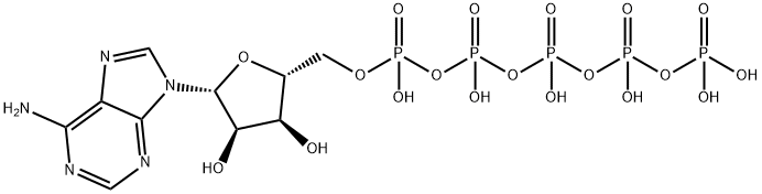 adenosine 5'-pentaphosphate