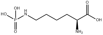 N-epsilon phospholysine