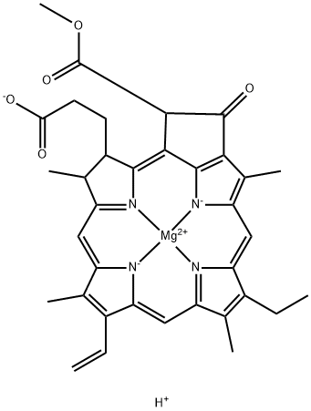 chlorophyllide a