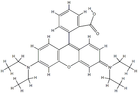 rhodamine B