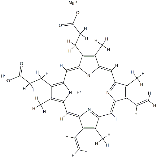 magnesium protoporphyrin
