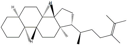 5β-Ergost-24-ene